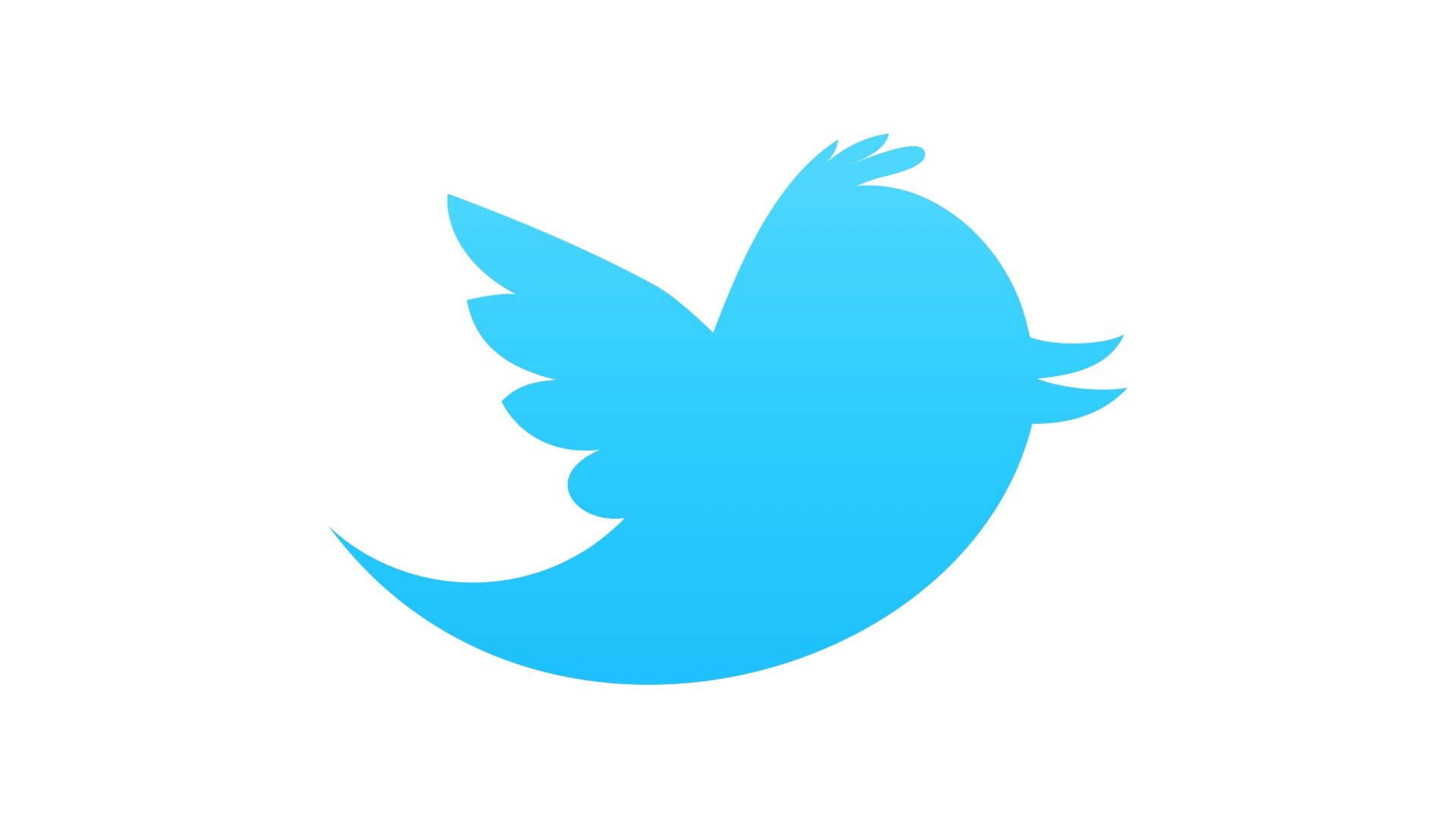 twitter 1620349 pic_1299261234